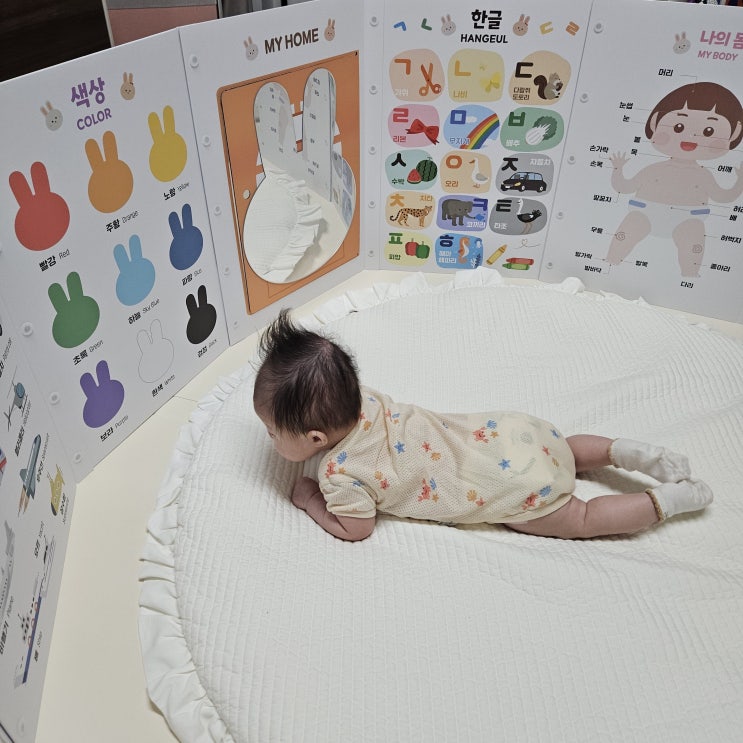  내돈내산 아띠래빗 아기병풍 조립 방법 주의사항 활용법 터미타임