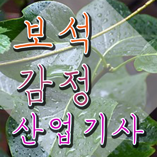  보석감정산업기사 시험 과목 보석감정산업기사 시험자격 독학으로 4개월 만에 완료한 방법