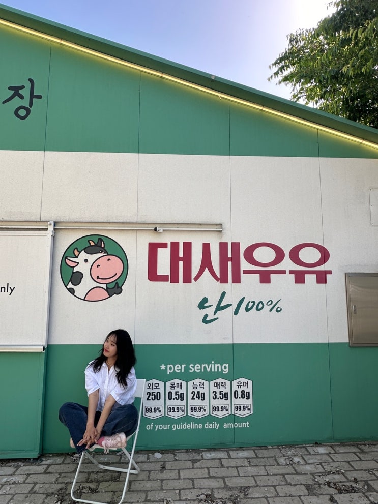  [대새목장] 대구 근교 가창 대새목장 l 해발 700m에 위치한 공기좋은 카페