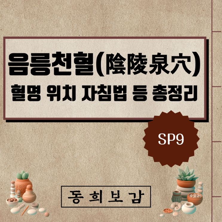  음릉천혈(陰陵泉穴) SP9, 소속경맥 혈명 위치 특성 자침법 등 총정리