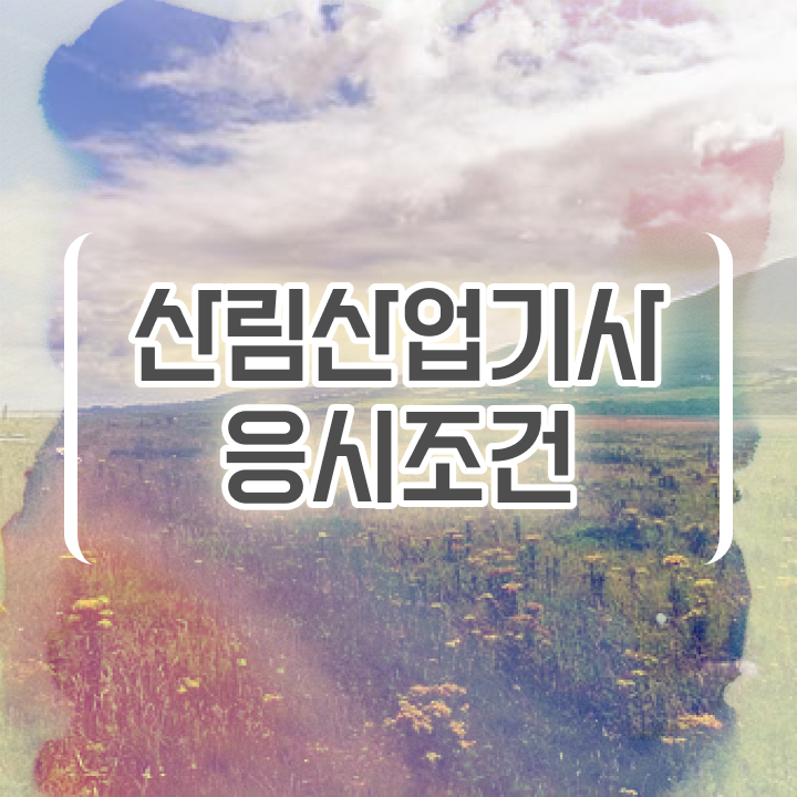  산림산업기사 직업 산림산업기사 자격요건 온라인으로 4달 안에 완료한 후기