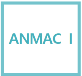  ANMAC(기술심사) I
