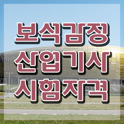  보석감정산업기사 필기 합격기준 보석감정산업기사 자격요건 온라인으로 편하게 준비한 팁