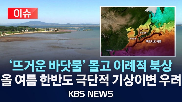 쿠로시오 해류의 진격…적도 열기 품고 6km씩 북상/조개껍질 깨지고 얇아지고…가파른 해양 산성화 쿠로시오 해류의 진격…적도 열기 품고 6km씩 북상/조개껍질 깨지고 얇아지고…가파른 해양 산성화