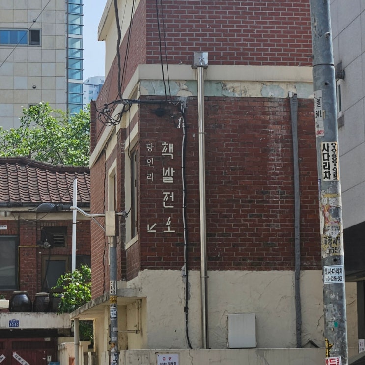  조용한 북카페 투어하기 당인리 책 발전소 [서울 망원동]