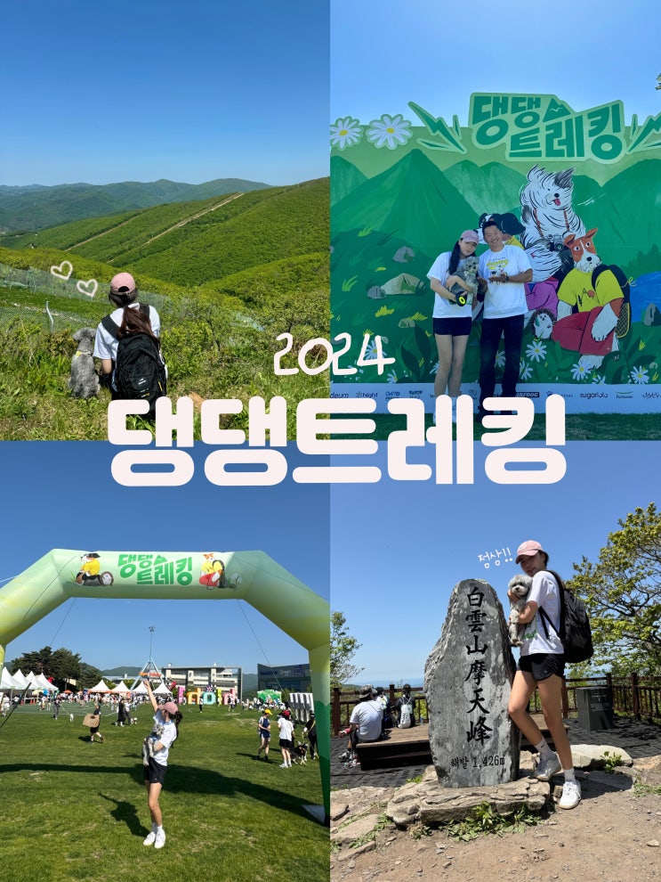  댕댕트레킹 2024 금토일 후기 준비물 대기 포토존 주차 등 꿀팁 총정리