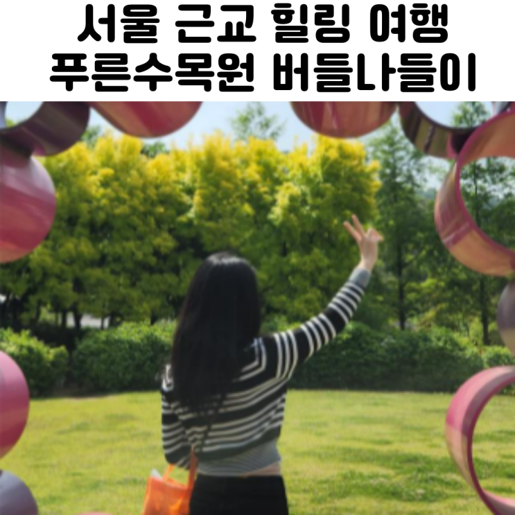  서울 근교 아이와 가볼만한 곳 푸른수목원 버들나들이 투어