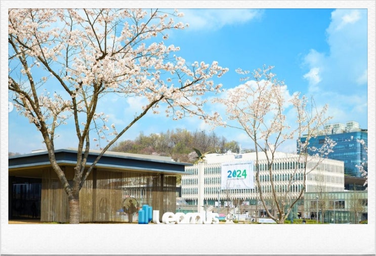  2024 연세대축제 라인업 일정 무악대동제