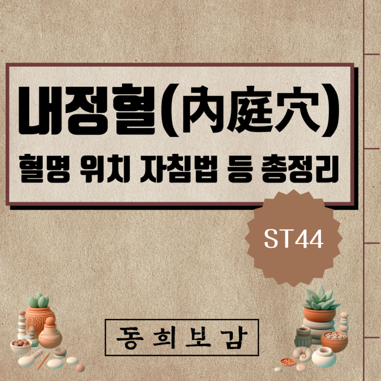  내정혈(內庭穴) ST44, 소속경맥 혈명 위치 특성 자침법 등 총정리