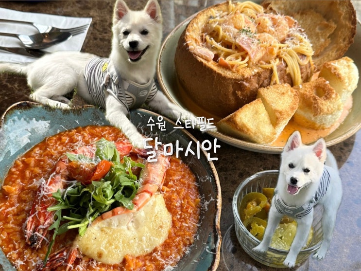  [수원] 수원 스타필드 애견동반식당 달마시안 웨이팅, 펫모차, 펫파크 후기