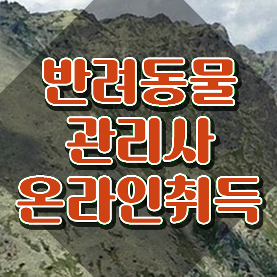  , 반려동물관리사 자격증 독학으로 합격정보 정보 모두 드려요