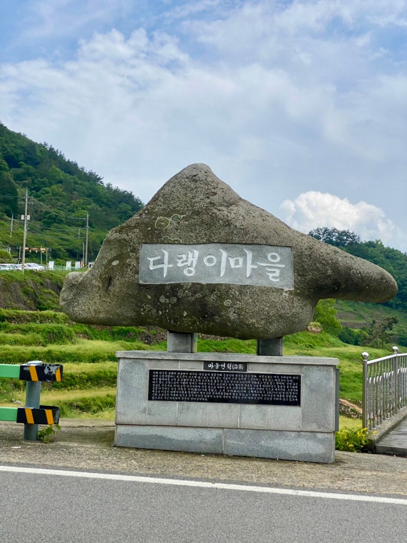 사진 3