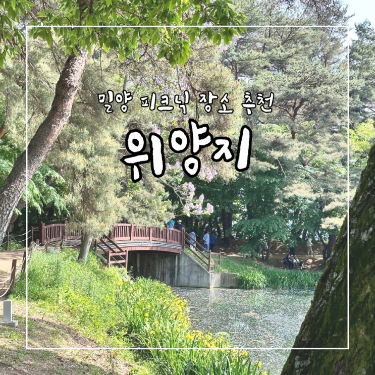  밀양 피크닉 가기 좋은 곳 밀양 위양지 가는길, 주차장, 포토존