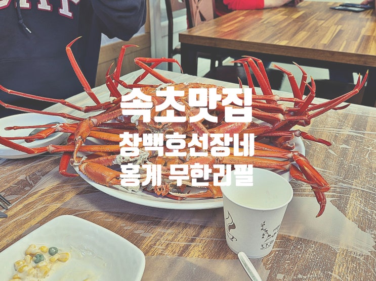  속초 홍게 무한리필 게를 아구아구 먹어보자 속초 맛집 창백호선장네