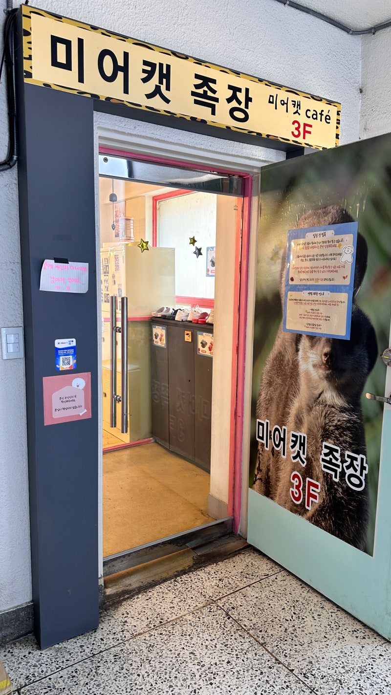 미어캣족장