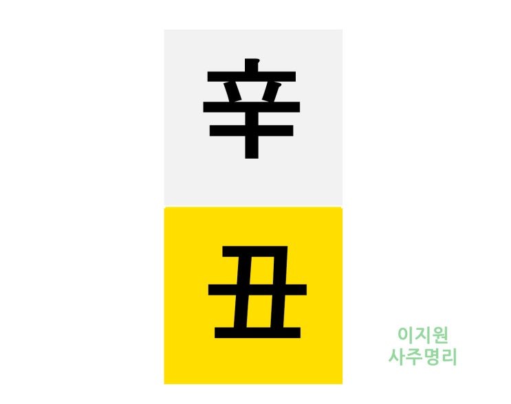  신축일주 특징 여자 남자 일주론 (辛丑日柱)