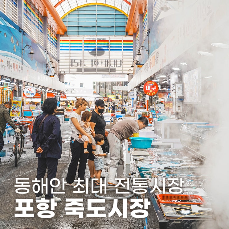  포항 죽도시장 주차장 버스 노선 정보
