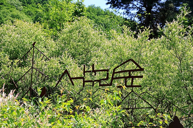사진 9
