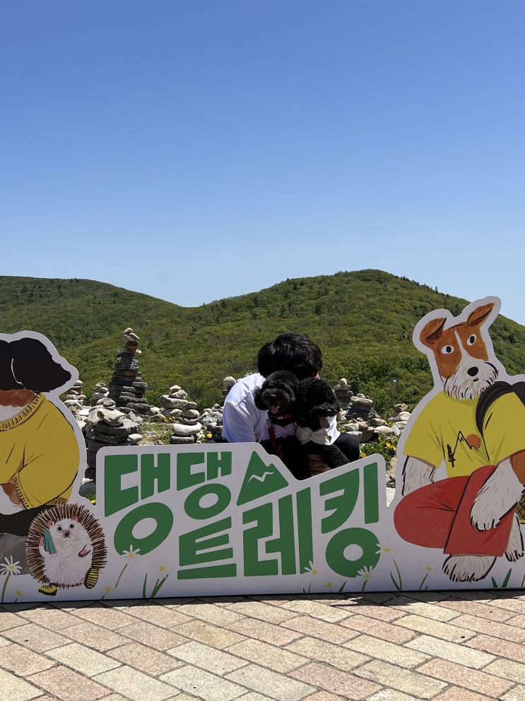  2024 댕댕트레킹 6k코스 완주 트레킹 후기 주차 정보