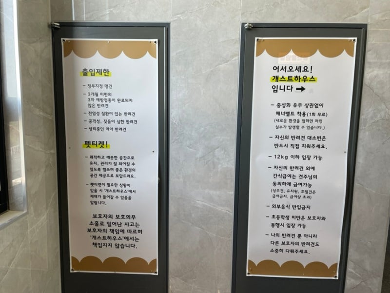 사진 6
