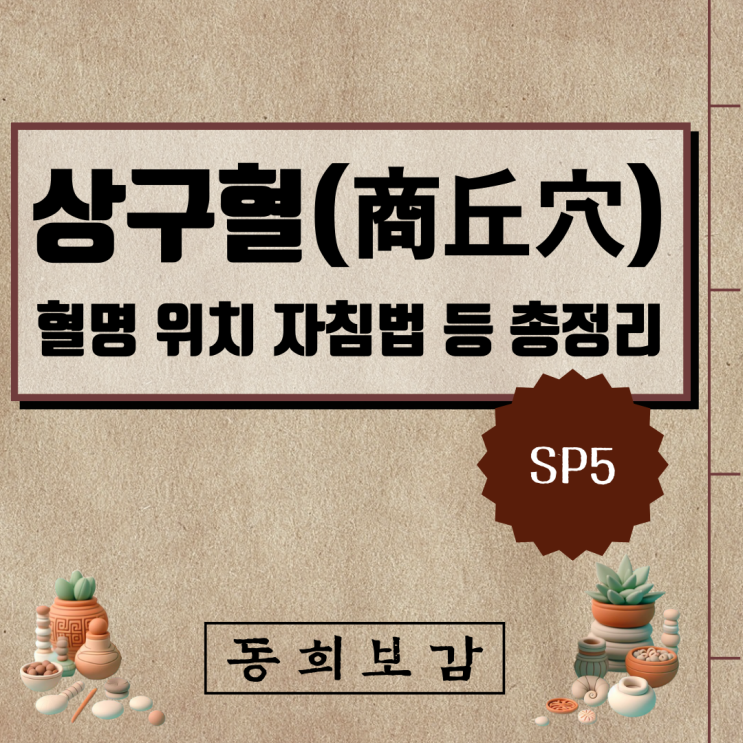  상구혈(商丘穴) SP5, 소속경맥 혈명 위치 특성 자침법 등 총정리