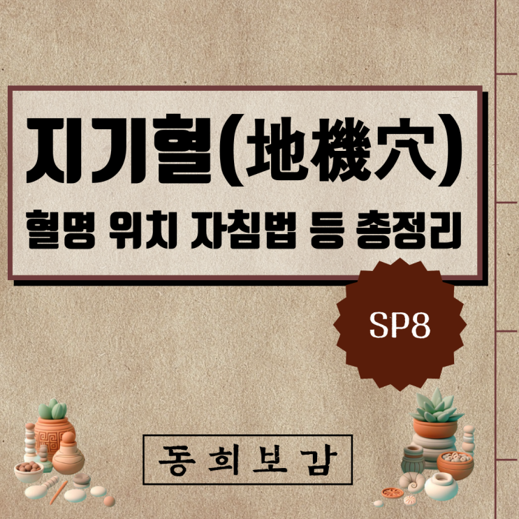  지기혈(地機穴) SP8, 소속경맥 혈명 위치 특성 자침법 등 총정리