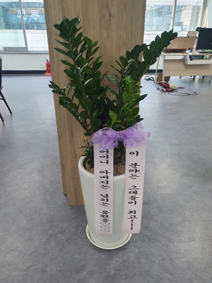  드디어 업무개시(연중무휴 전화,톡 받습니다)