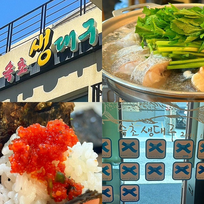  속초 맛집, 현지인 추천 블루리본 생대구탕 "속초생대구" 내돈내산 솔직후기