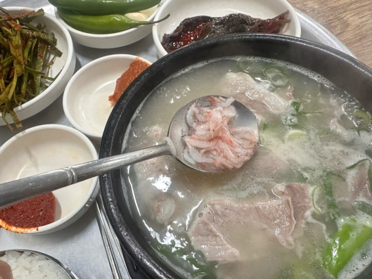  부산 맛집 뚱보돼지국밥 | 로컬만 가는 30년 전통 부산역 국밥 맛집