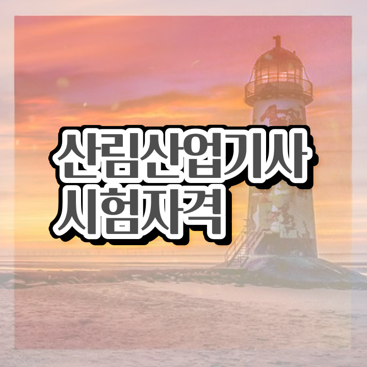  산림산업기사 공부법 산림산업기사 응시조건 학점은행제로 15주만에 성공한 방법