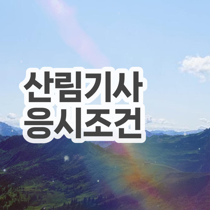 산림 기사학원 산림기사 자격요건 인강만 듣고 간편하게 성공한 후기