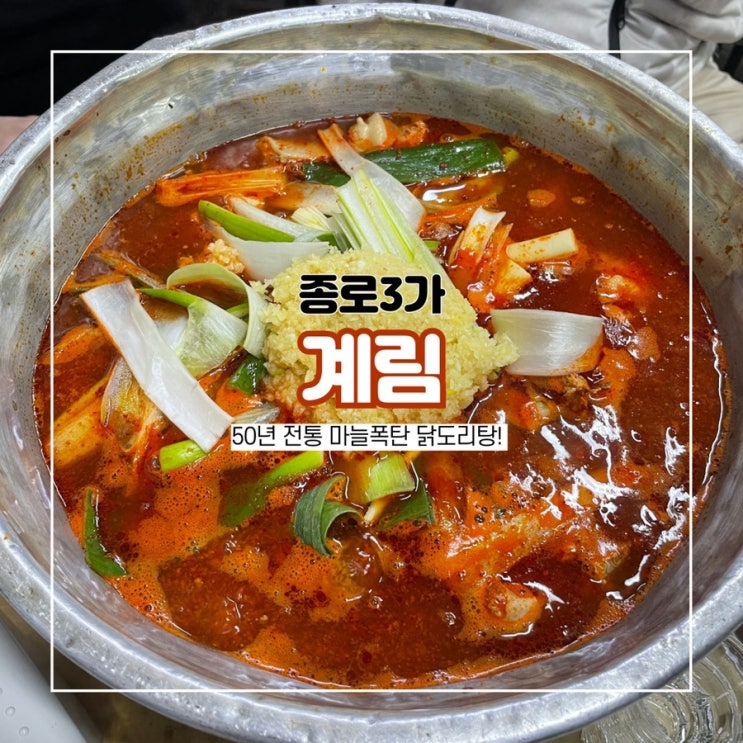  종로 계림 닭도리탕 본점 마늘폭탄 원조 노포 종로3가 맛집