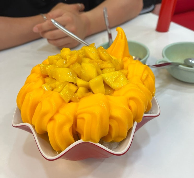  [보홀맛집] 할로망고(halomango)에서 망고빙수 먹은 후기 _내돈내산