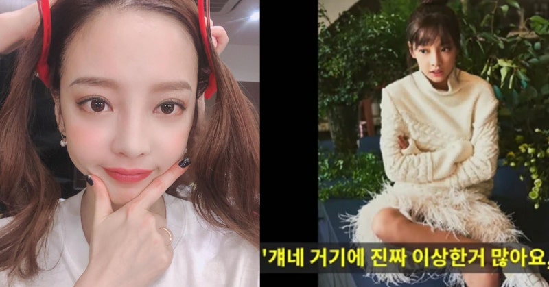 故 구하라, 버닝썬 게이트 수사에 큰 기여… 정준영 단톡방 폭로