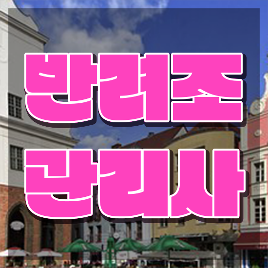  모란앵무 가격 , 반려조관리사 자격증 취득 정보 핵심 정보 정리