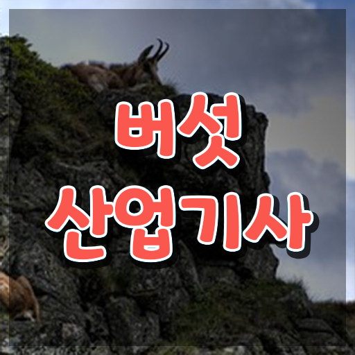  버섯산업기사 취득자격 인강으로 1학기 만에 완료한 전략