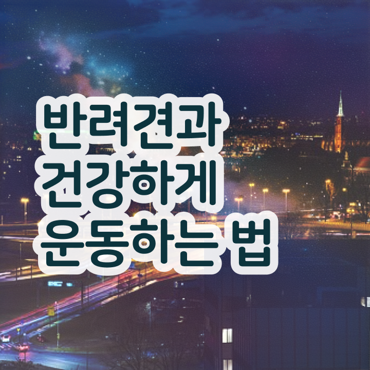  40대여성자격증 , 반려견운동지도사 중년 직장인도 손쉽게 준비했던 팁
