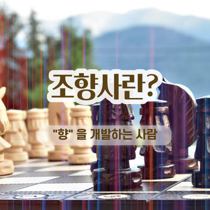  40대여자자격증 , 조향사 손쉽게 끝낼수 있었던 노하우