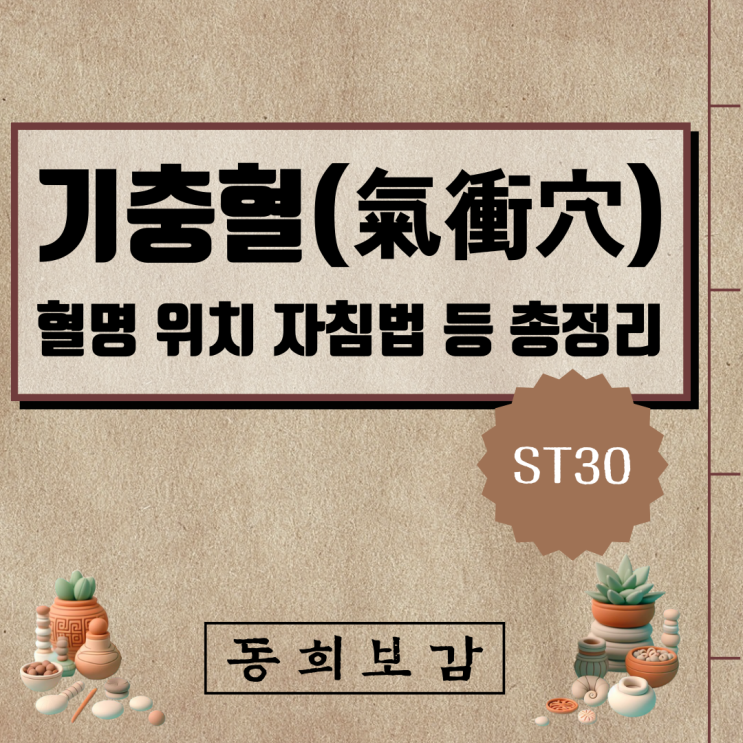  기충혈(氣衝穴) ST30, 소속경맥 혈명 위치 특성 자침법 등 총정리