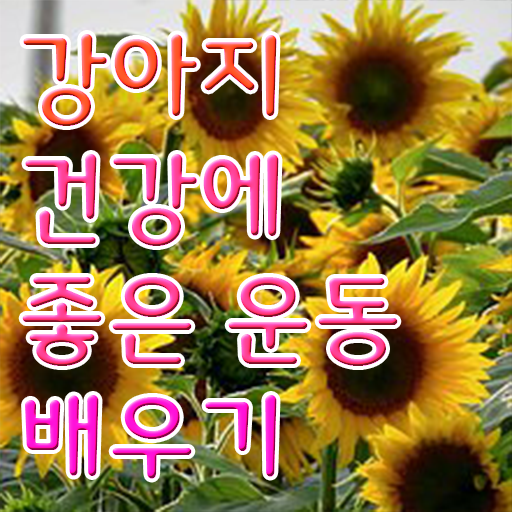  반려견운동지도사 수업 , 반려견운동지도사 합격 비법 및 주목받는 이유