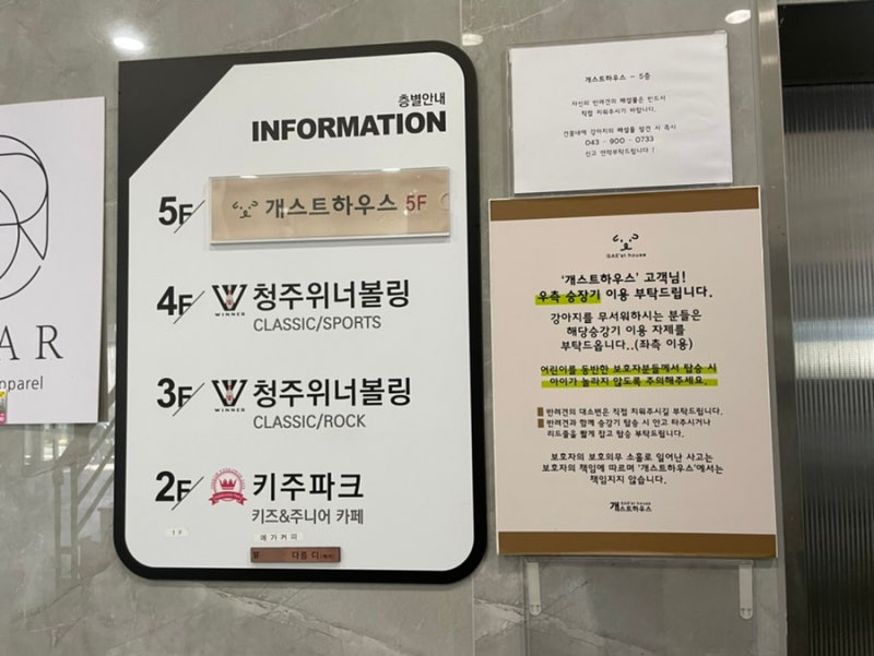 사진 5