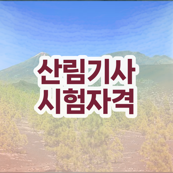  산림기사 준비 산림기사 응시조건 집에서 온라인으로 5달만에 끝낸 비법