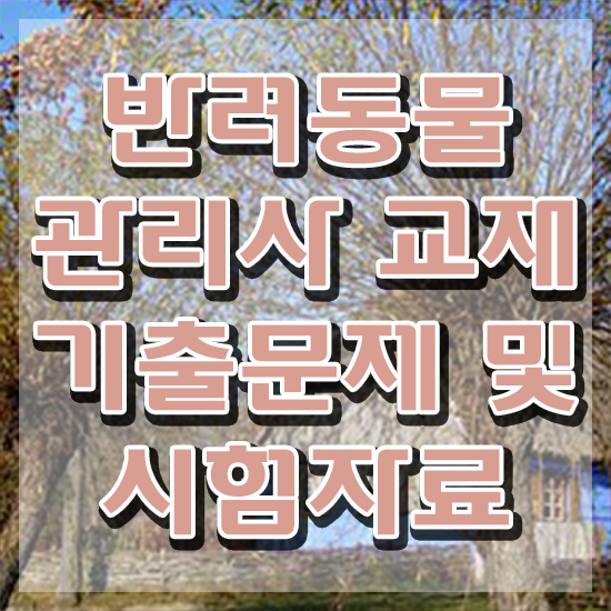  한국반려동물 , 반려동물관리사 자격증 취득 노하우 정리했어요