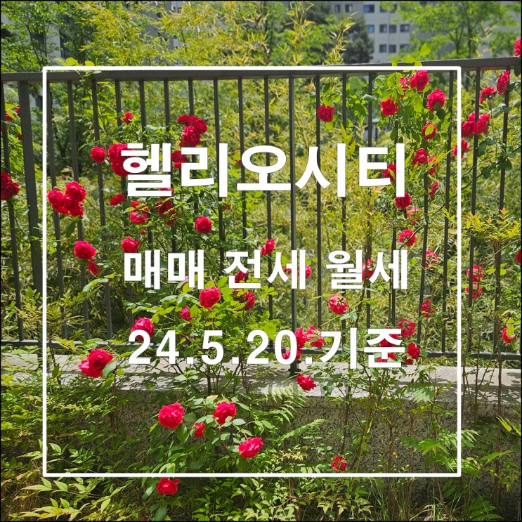  헬리오시티 매매 전월세 시세 및 실거래가 정보 24년5월20일  급전세는 마무리되었어요.