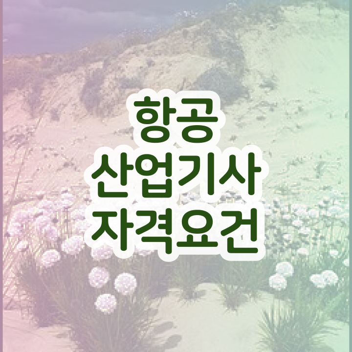  항공산업기사 응시자격 항공산업기사 응시자격 인강만 듣고 빠르게 완료한 후기