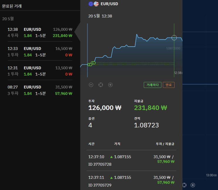  부빙가 바이너리 투자 방법 전략 및 후기 정리