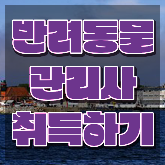  고양이 반려동물 등록 , 반려동물관리사 자격증 온라인으로 간단히 취득한 방법 정보 필요하시죠