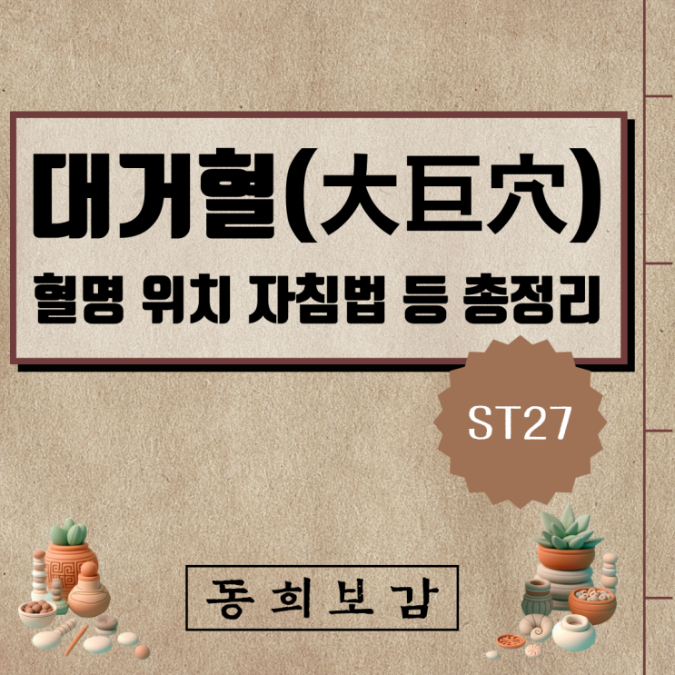  대거혈(大巨穴) ST27, 소속경맥 혈명 위치 특성 자침법 등 총정리