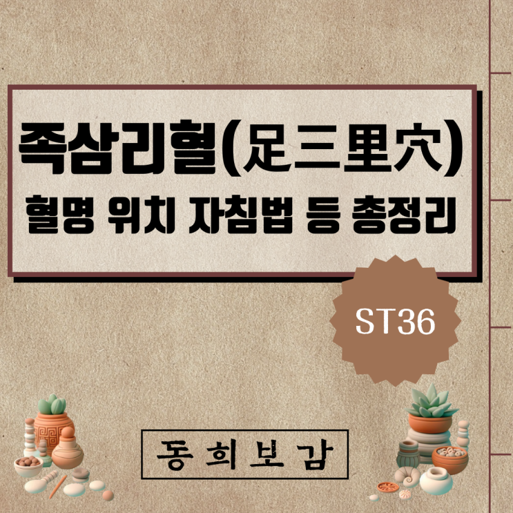  족삼리혈(足三里穴) ST36, 소속경맥 혈명 위치 특성 자침법 등 총정리