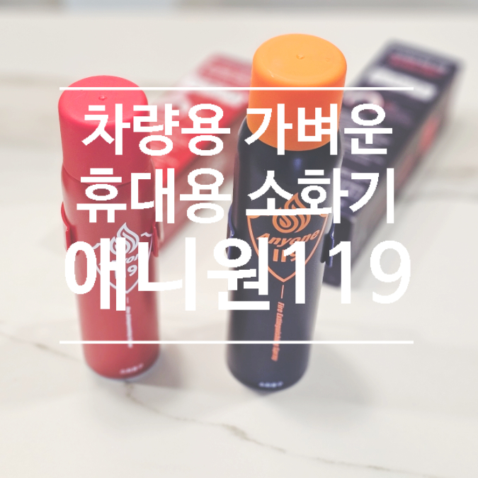  차량용 소화기 추천, 가볍고 간편한 휴대용 소화기 애니원 119